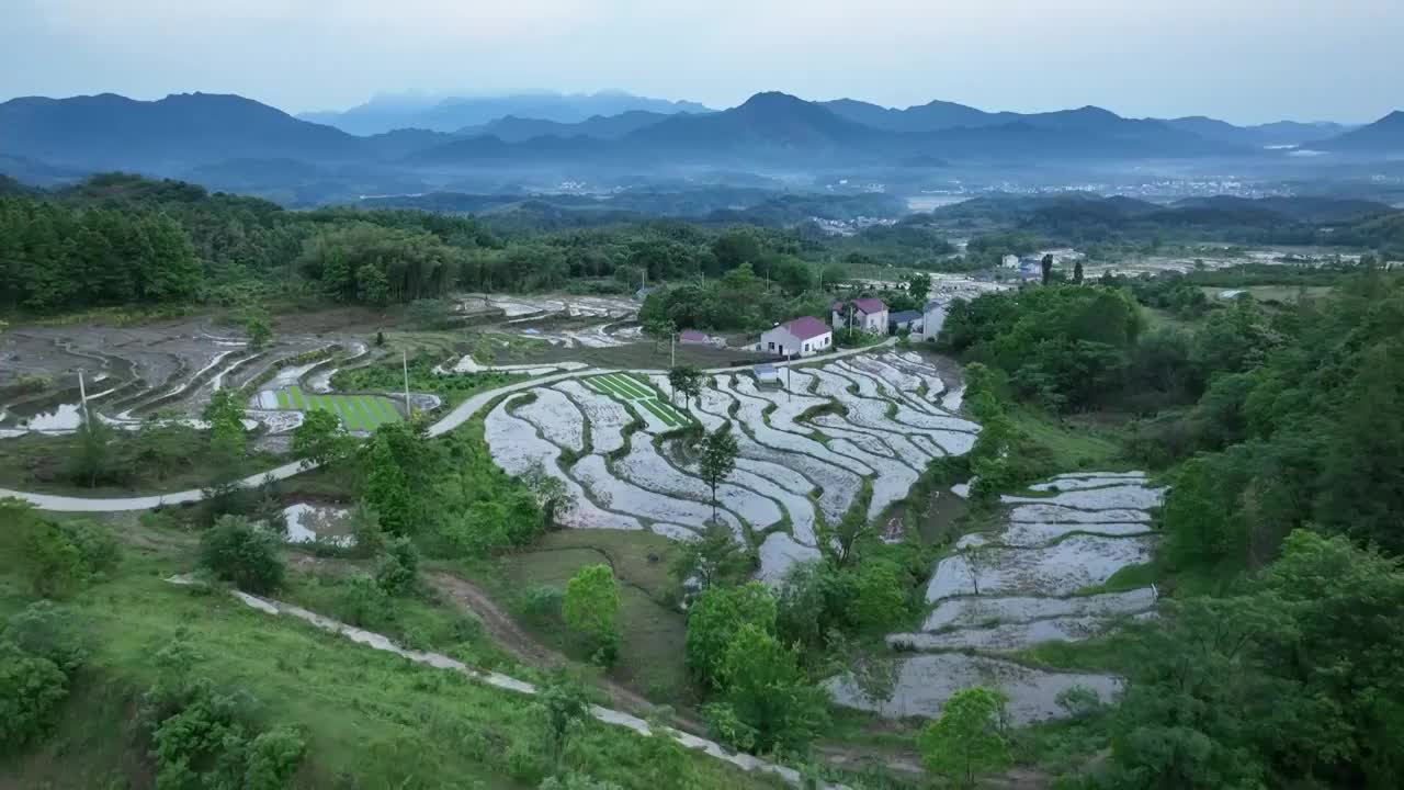 安徽省旌德县白地镇农田视频素材