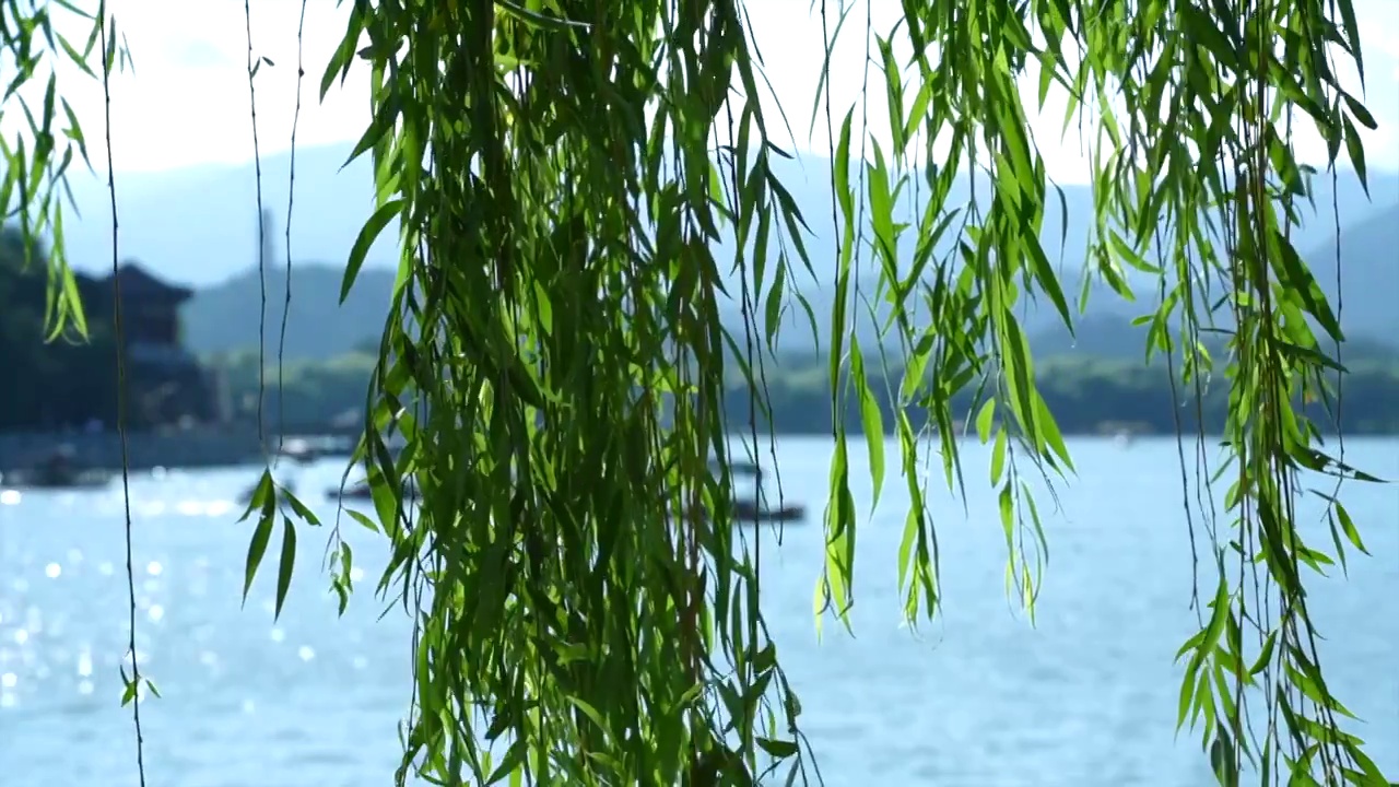 夏天傍晚北京颐和园夕阳视频素材