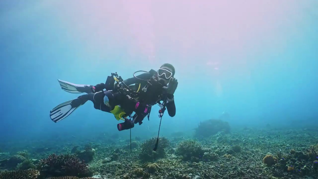 水下摄影师拍摄记录海洋水下世界视频素材