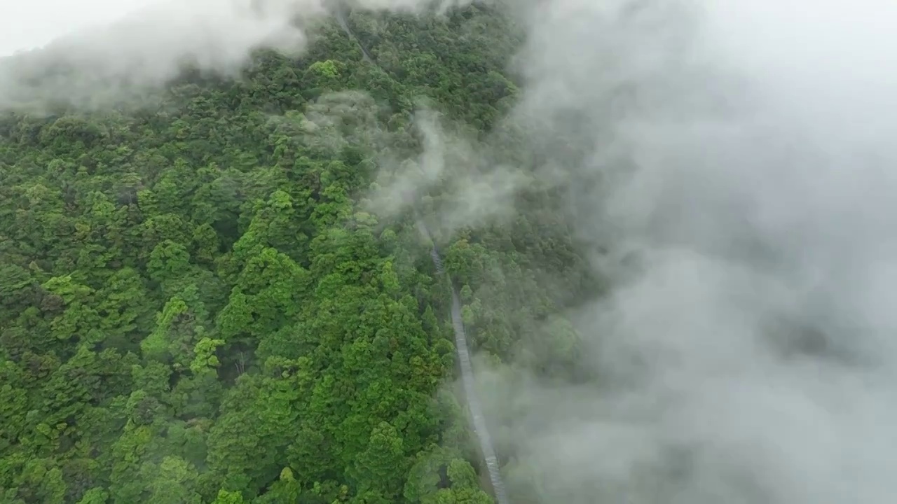 深圳梧桐山云海日出视频素材