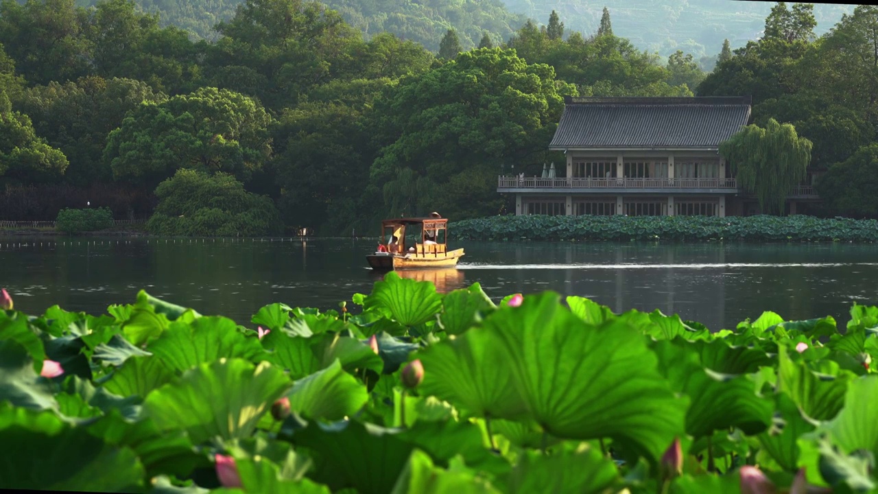 杭州西湖游船经过荷花视频素材