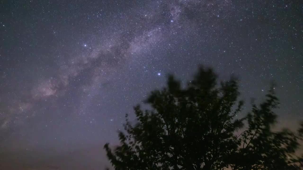 树梢后升起的银河星空延时视频素材