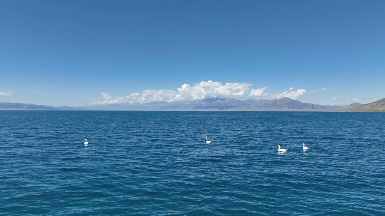 新疆赛里木湖景区视频素材