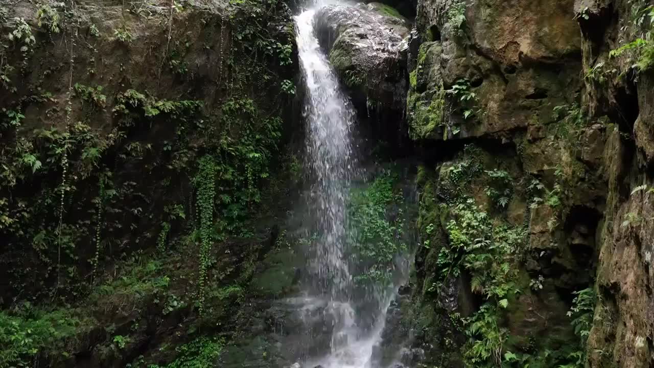 桂林深山密林中的瀑布视频素材