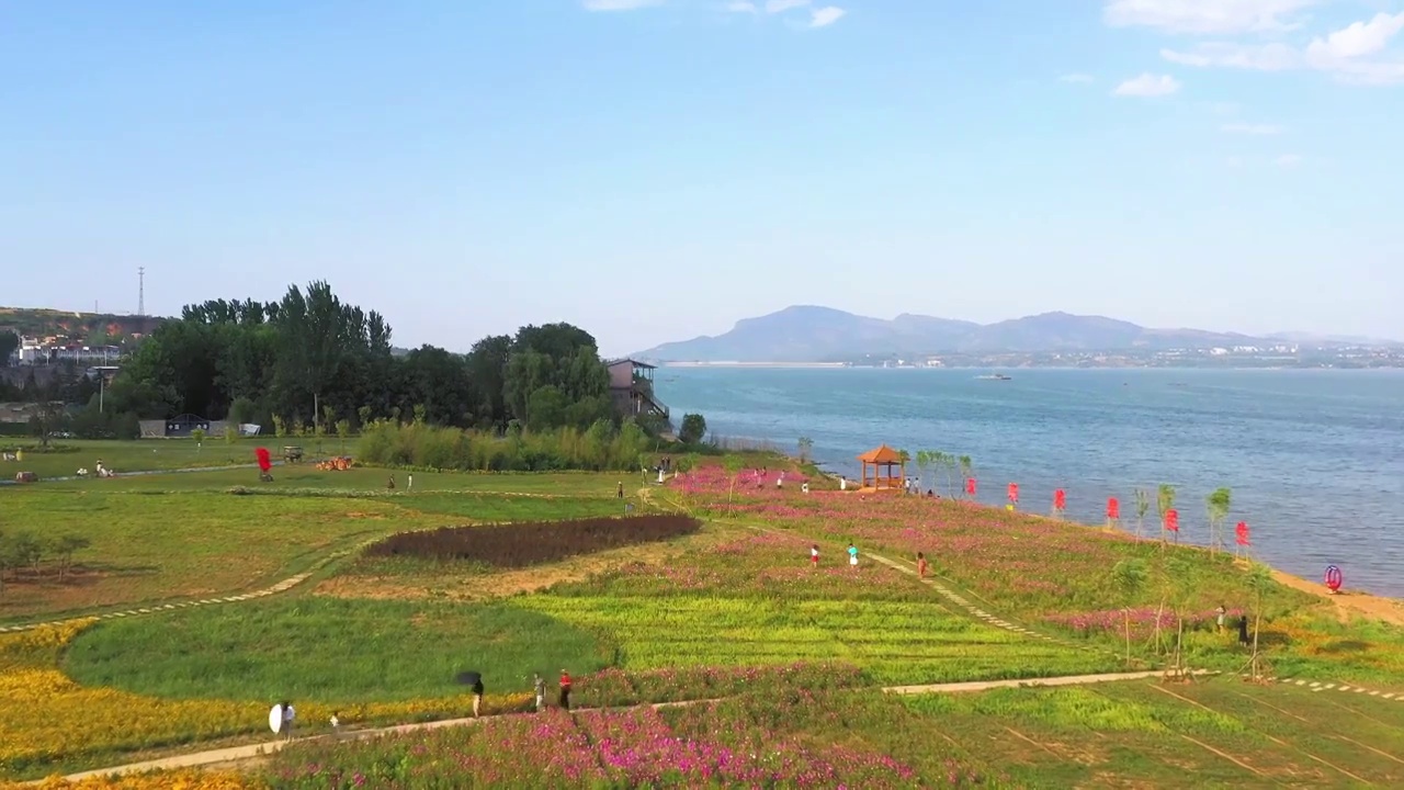 航拍河南省洛阳市嵩县陆浑水库风景区湖畔花海视频素材