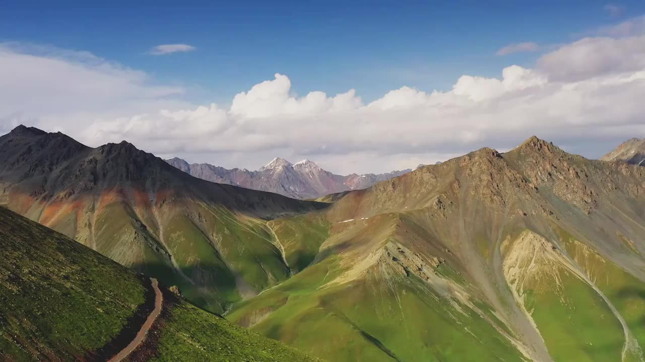 航拍 新疆草原  高山草原  新疆旅游 高原山谷 雪山视频素材