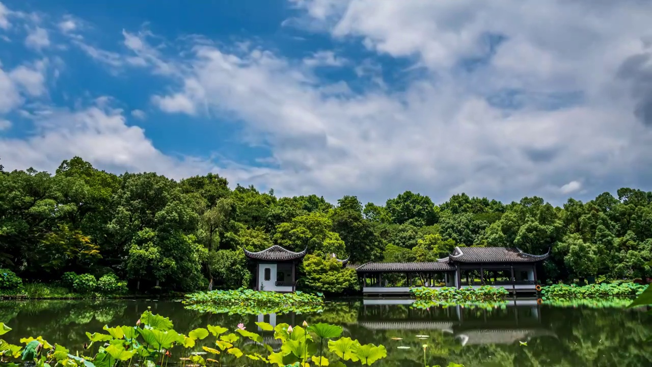 夏日曲院风荷荷塘流云延时视频素材