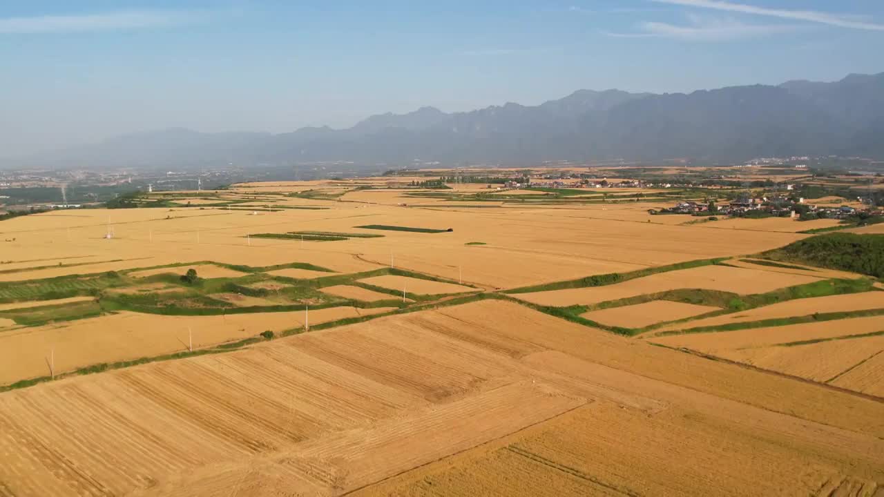 陕西关中平原大面积麦田航拍视频素材