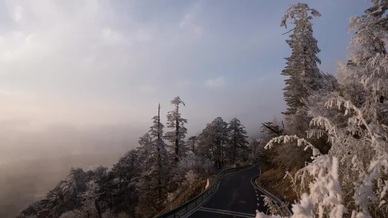 石棉王岗坪雪景视频素材