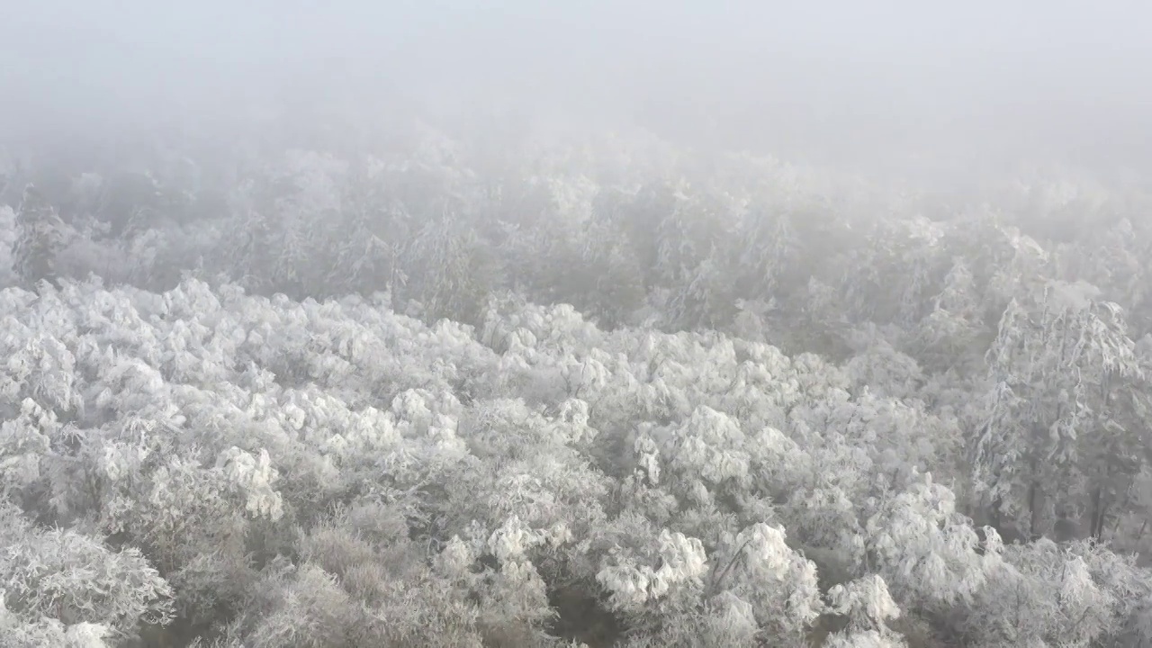 石棉王岗坪雪景视频素材