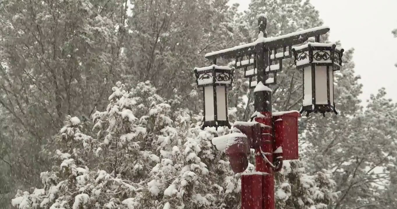 雪中的路灯视频下载