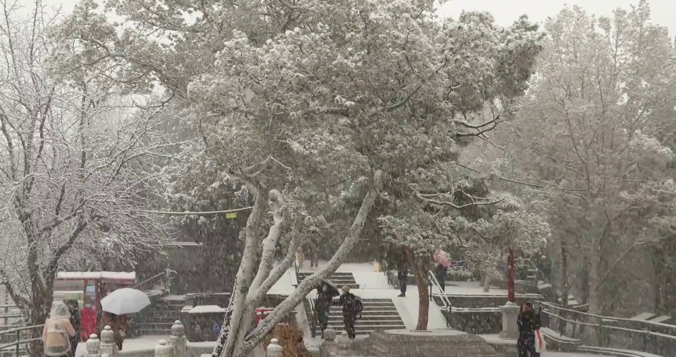 雪中公园的人视频下载