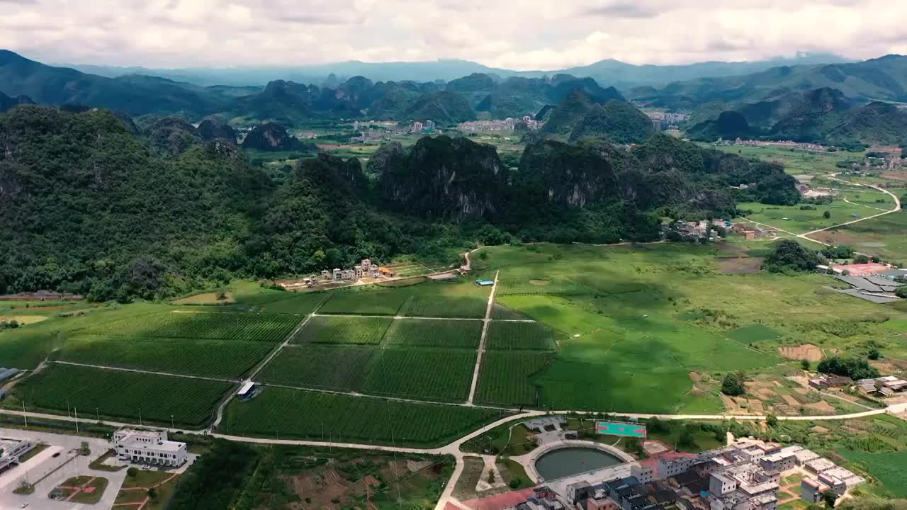 百香果基地（合集）视频素材