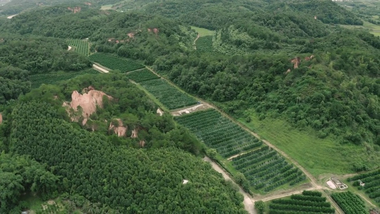 航拍山里果园种植（合集）视频素材