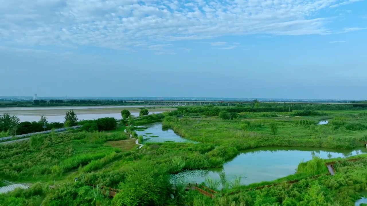 河南洛阳黄河国家湿地公园黄河飞鸟航拍视频素材