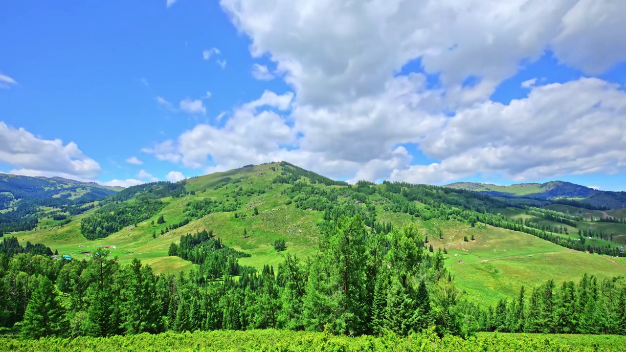 中国新疆绿色草原和山的自然景观视频素材