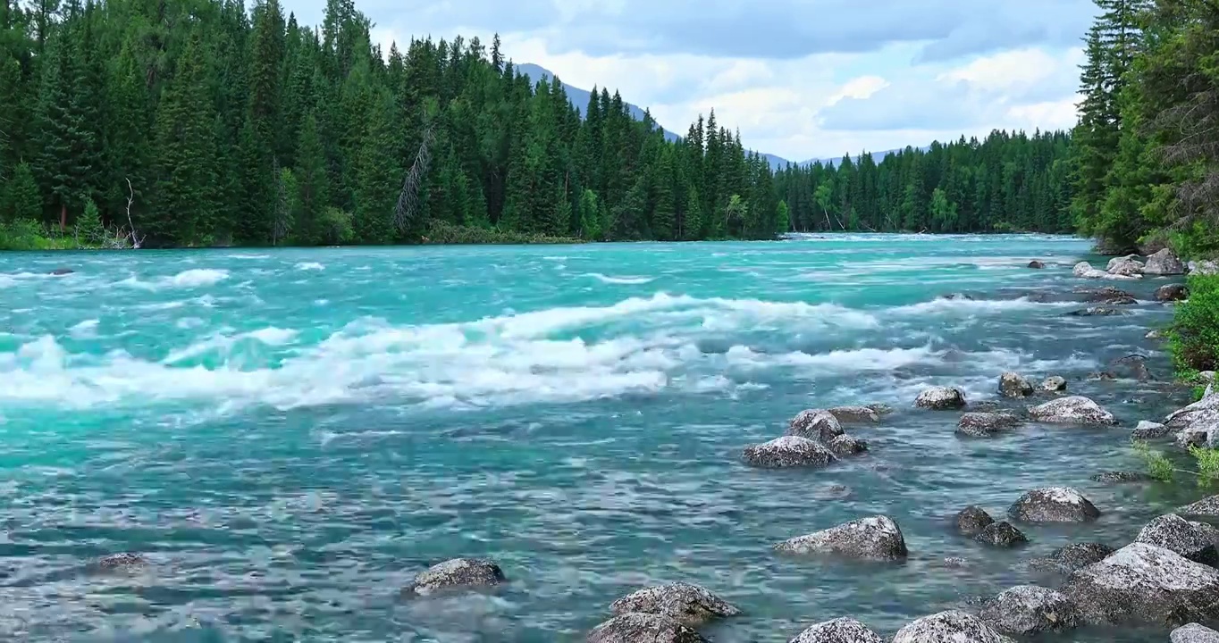 中国新疆喀纳斯风景区美丽的河流和森林景观视频素材