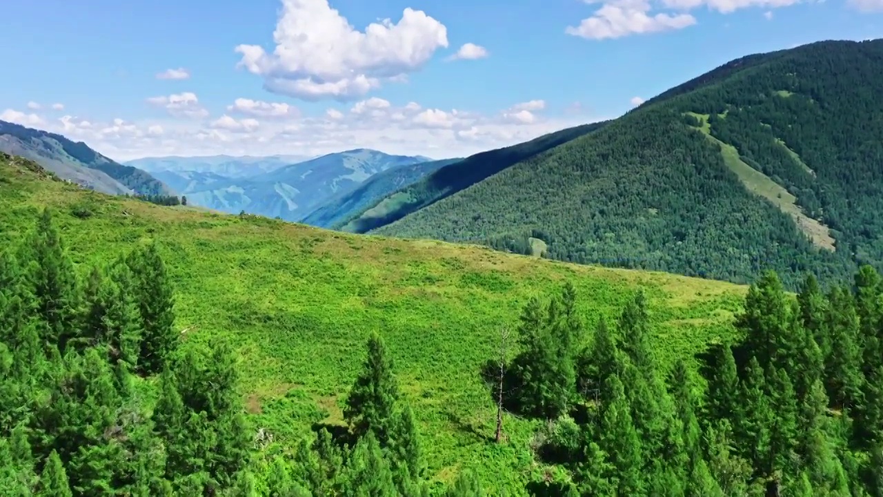 中国新疆绿色森林和山脉景观视频素材