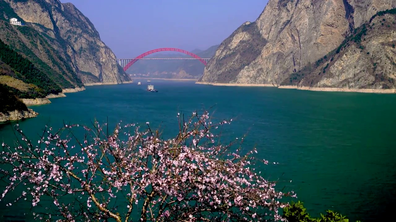 湖北宜昌 船舶行驶在桃花盛开的西陵峡江段视频素材