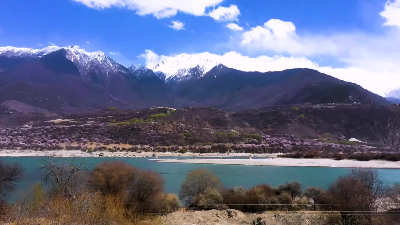 航拍西藏林芝桃花文化旅游节视频素材