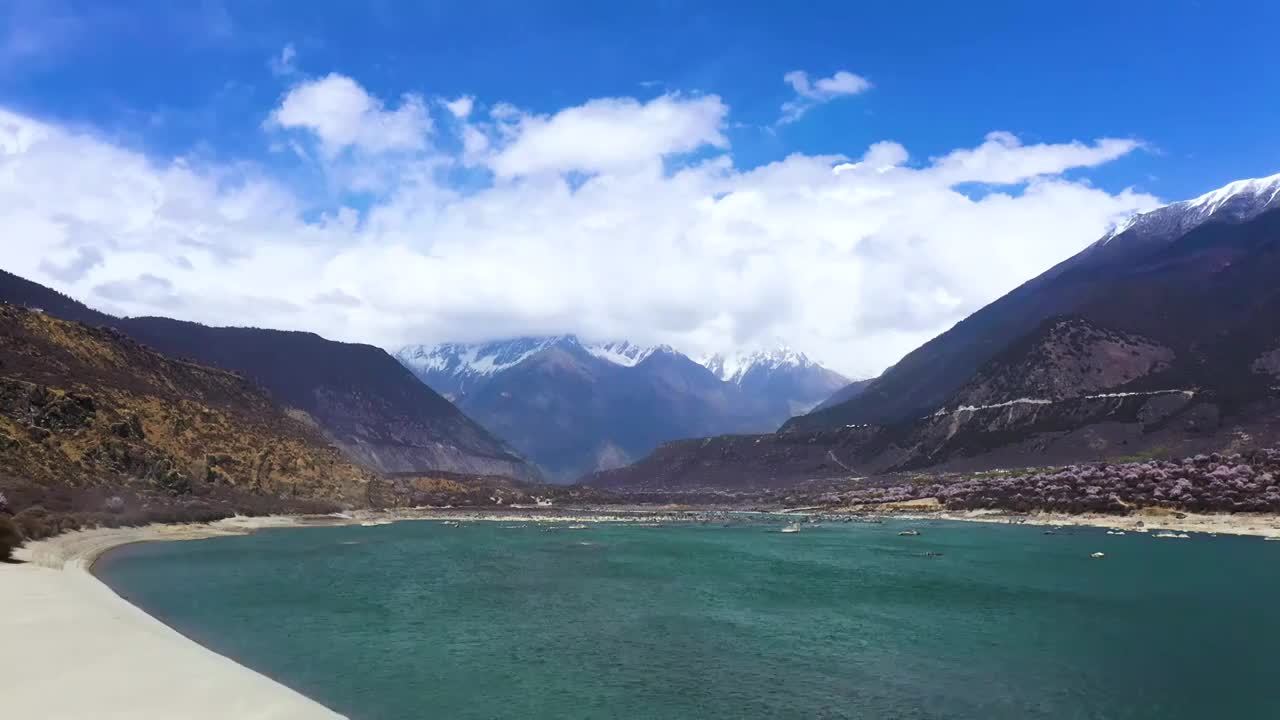 航拍西藏林芝桃花文化旅游节视频素材