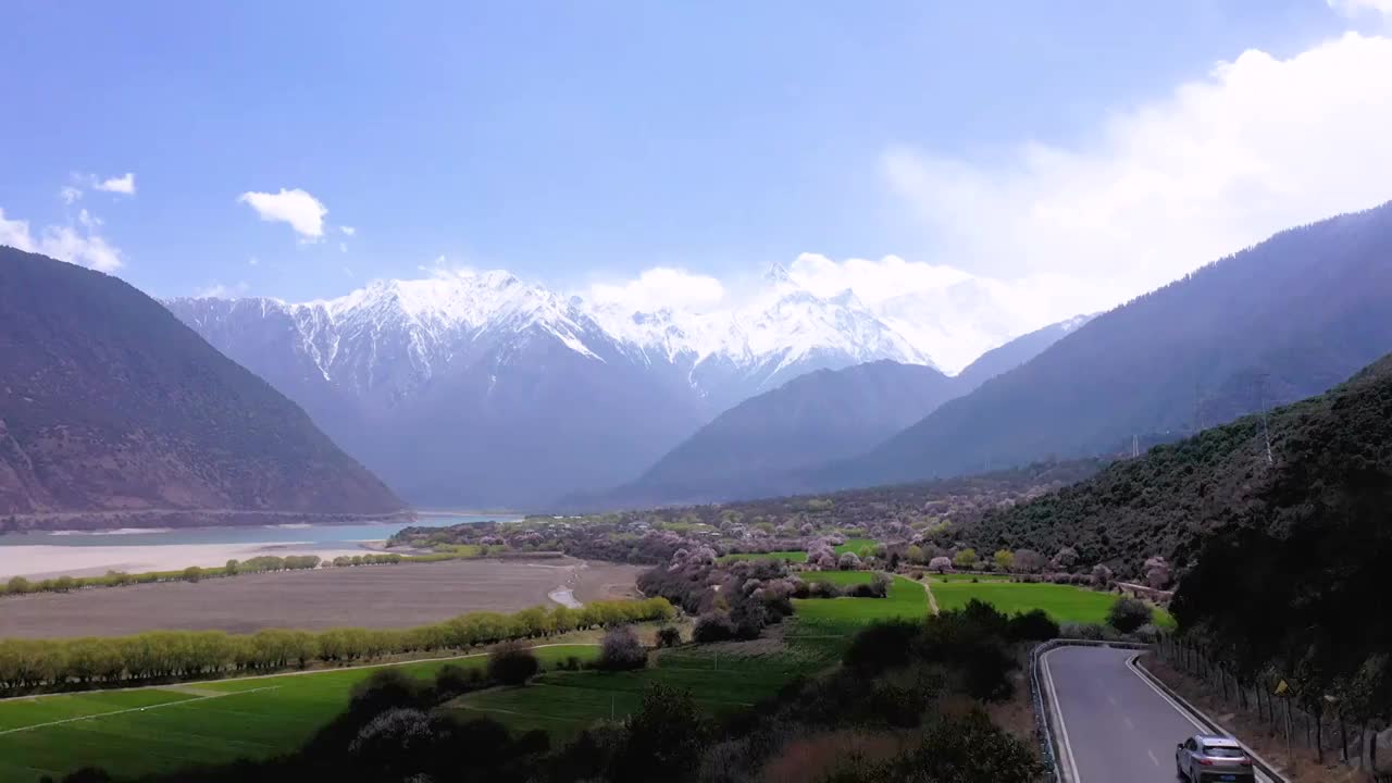 航拍西藏林芝桃花文化旅游节视频素材