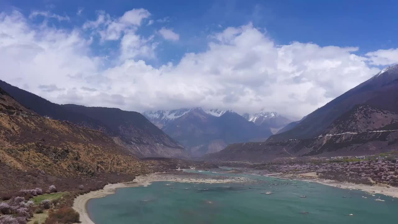 航拍西藏林芝桃花文化旅游节视频素材