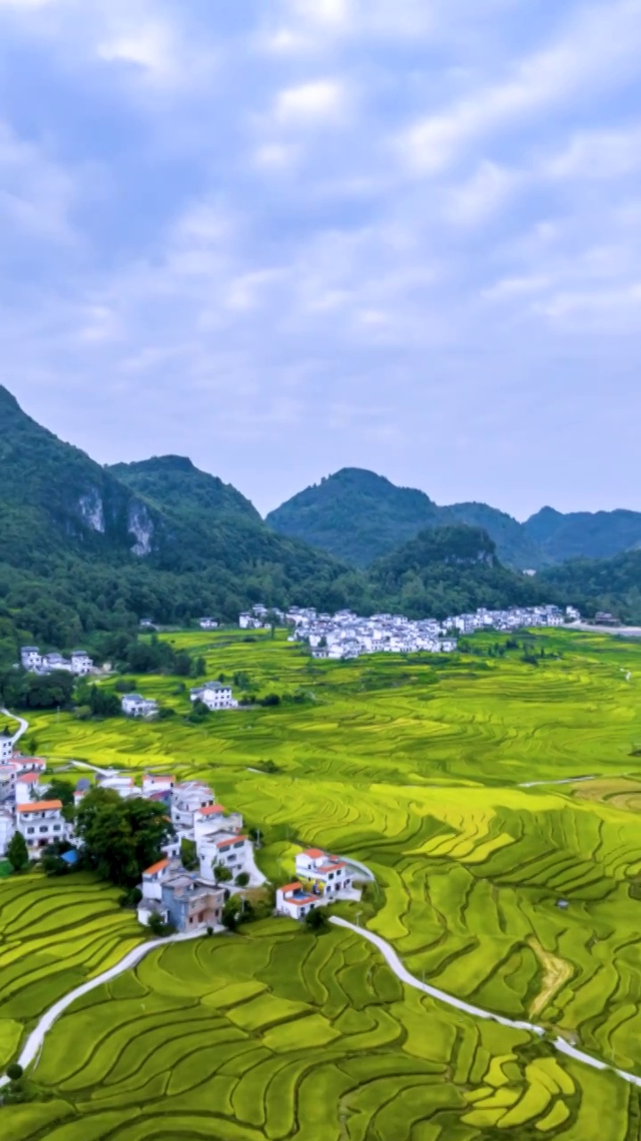 高清竖屏延时航拍南丹巴平梯田最美风景（合集）视频素材