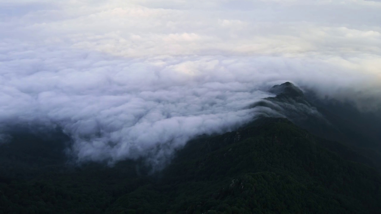 北京百花山顶云海视频素材