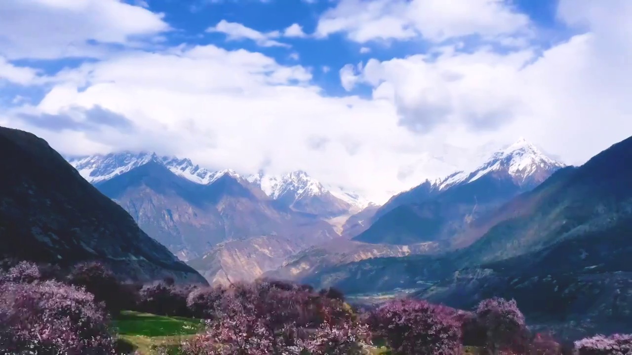 移动延时航拍西藏林芝林芝桃花节视频素材