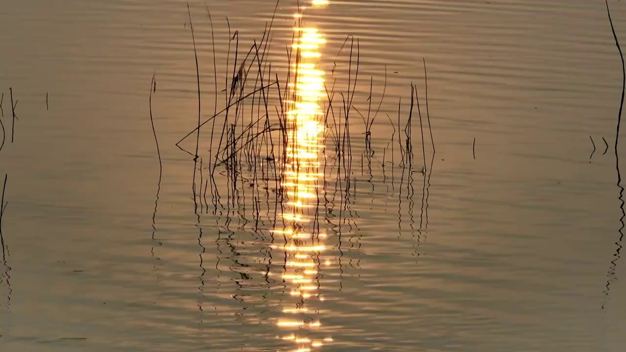 水面上的夕阳视频素材