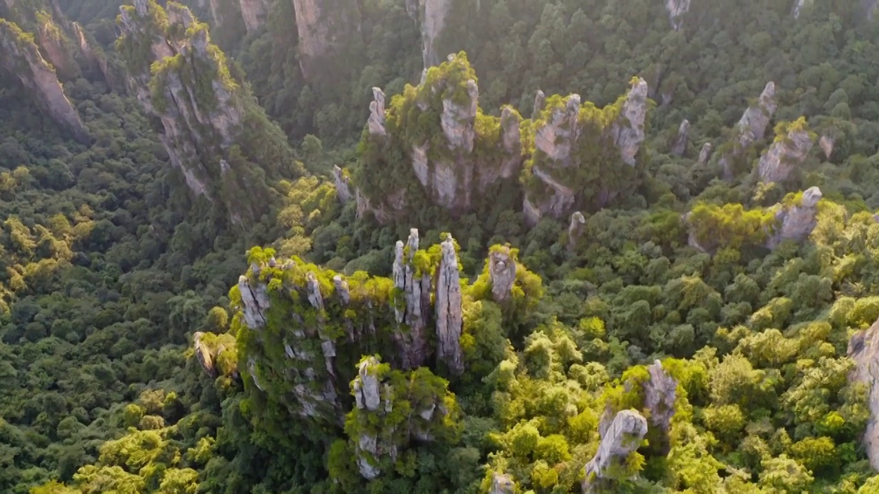 张家界，张家界天子山，武陵源景区，夕阳下的张家界，喀斯特地貌，峰林，岩石，石笋，石柱视频素材