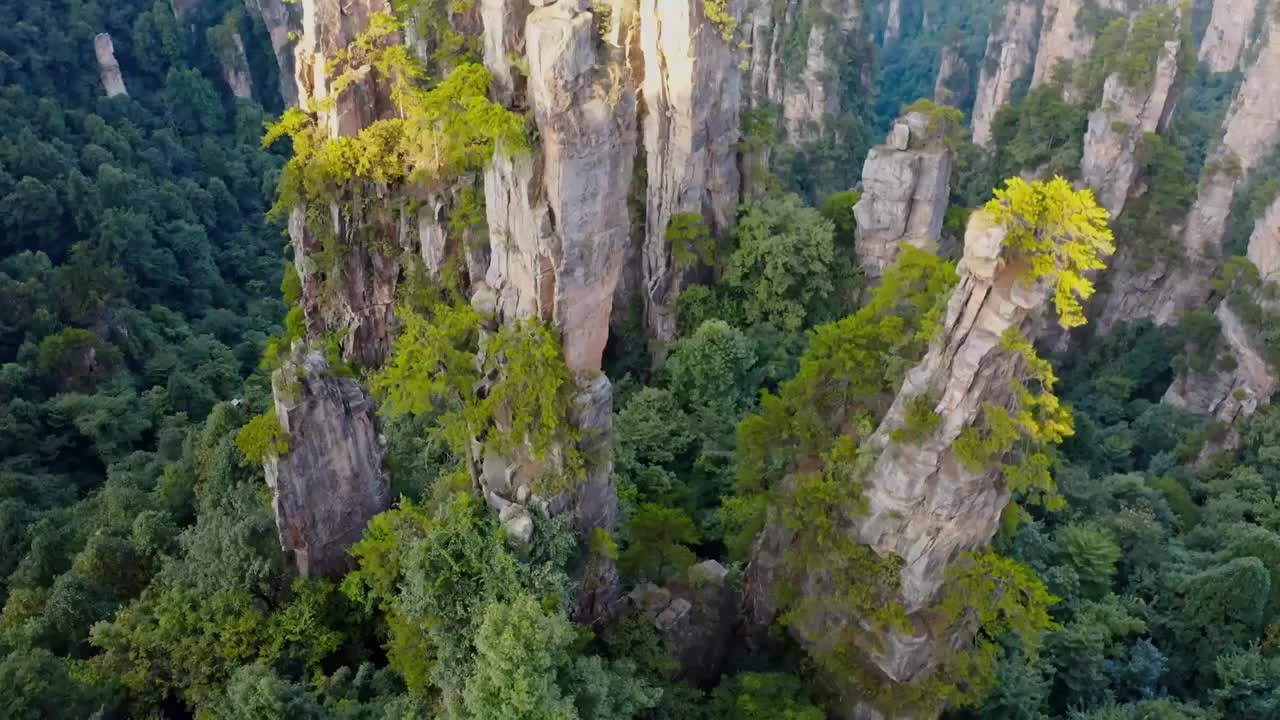 张家界，张家界天子山，武陵源景区，夕阳下的张家界，喀斯特地貌，峰林，岩石，石笋，石柱视频素材