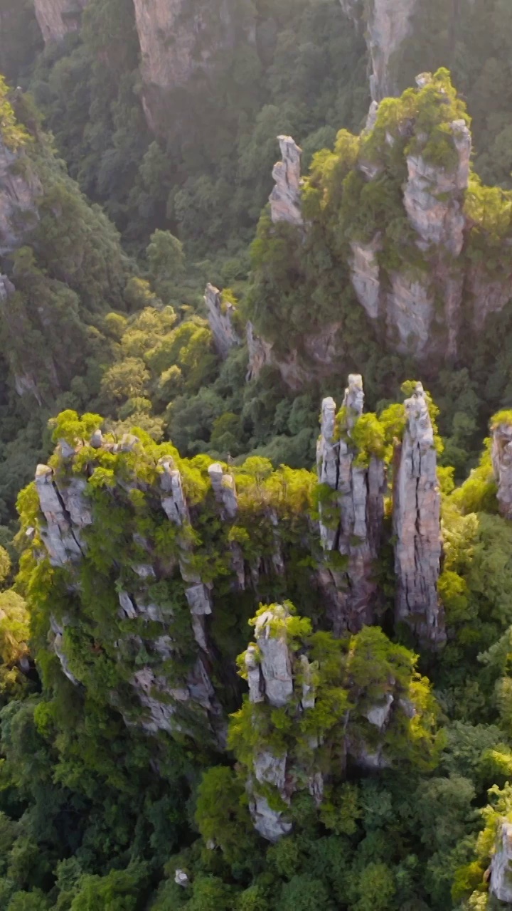 张家界，张家界天子山，武陵源景区，夕阳下的张家界，喀斯特地貌，峰林，岩石，石笋，石柱视频素材