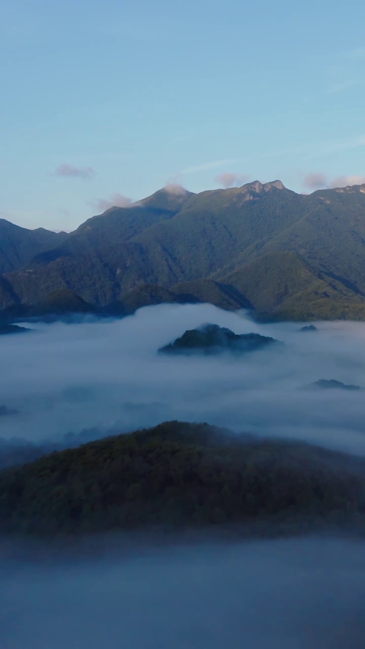 大九湖，大九湖晨雾，清晨的大九湖，航拍大九湖，神农架的湖泊，神农架景区，人间仙境，缥缈，梦幻，五号湖视频素材