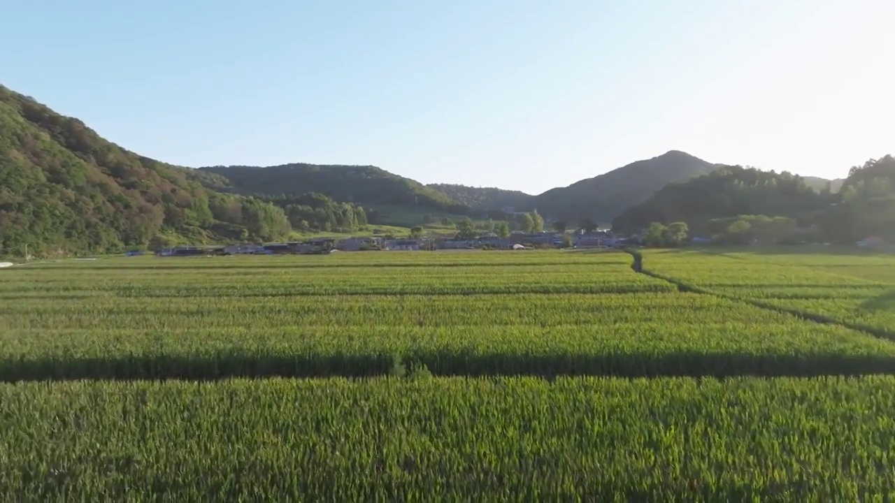 吉林乡村风光航拍视频素材