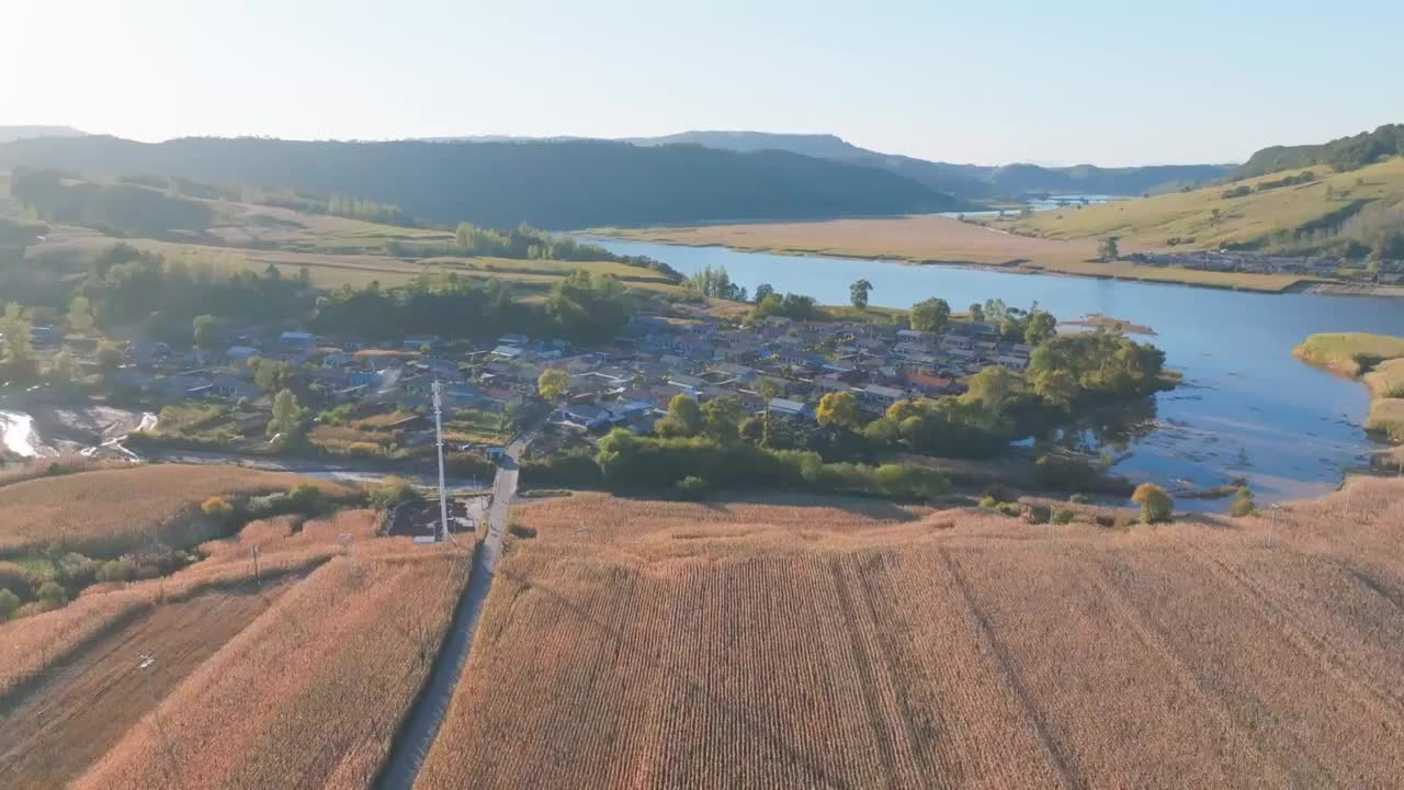 东北秋天的农村景色航拍视频素材