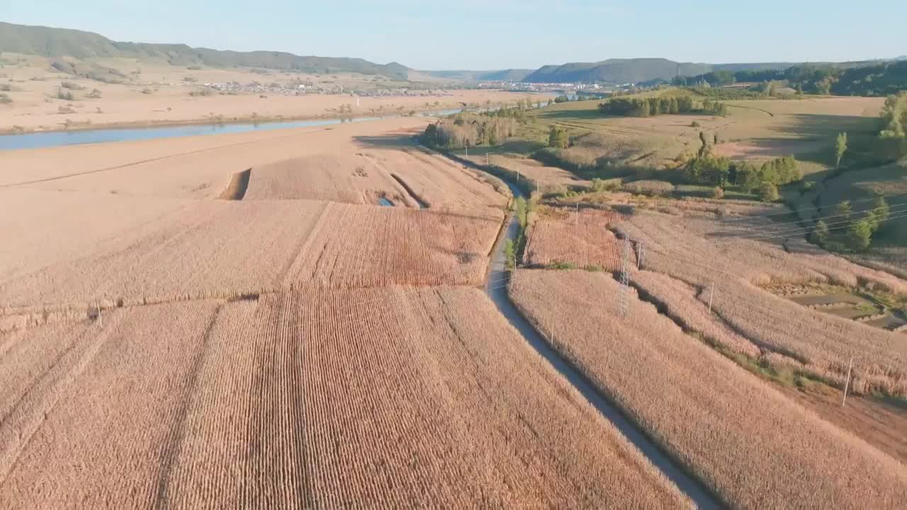 东北秋天的农村景色航拍视频素材