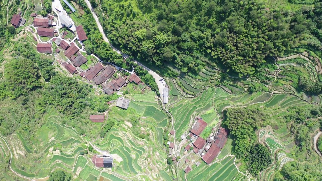 景宁驮戥村航拍视频视频素材