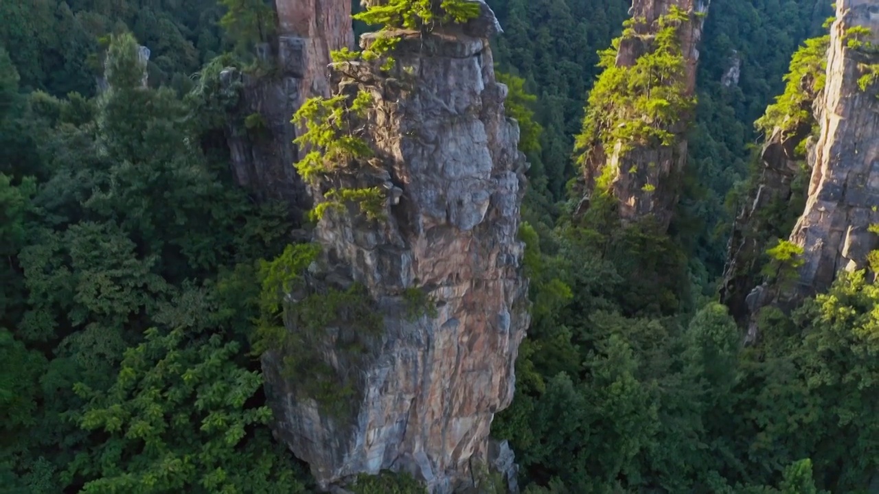 张家界，哈利路亚山，阿凡达取景地，袁家界，武陵源景区视频素材