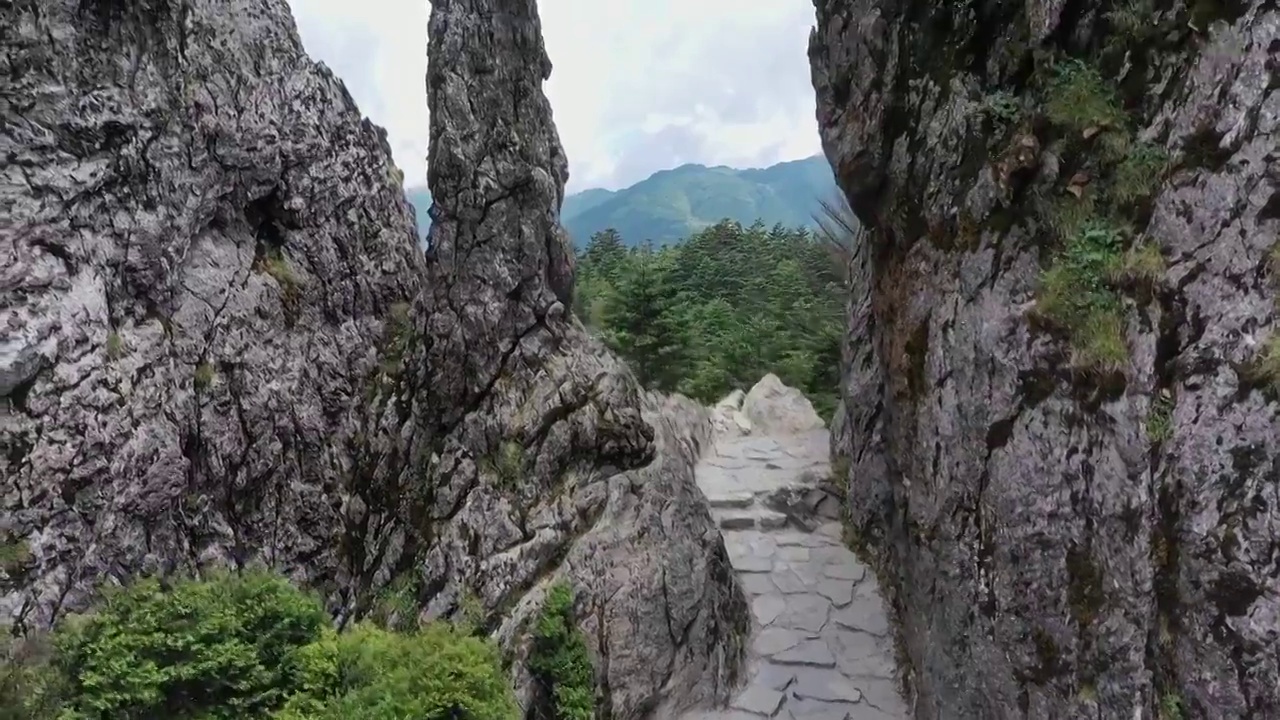 板壁岩，神农架，神农顶，岩石，神农架林区，擎天柱视频素材