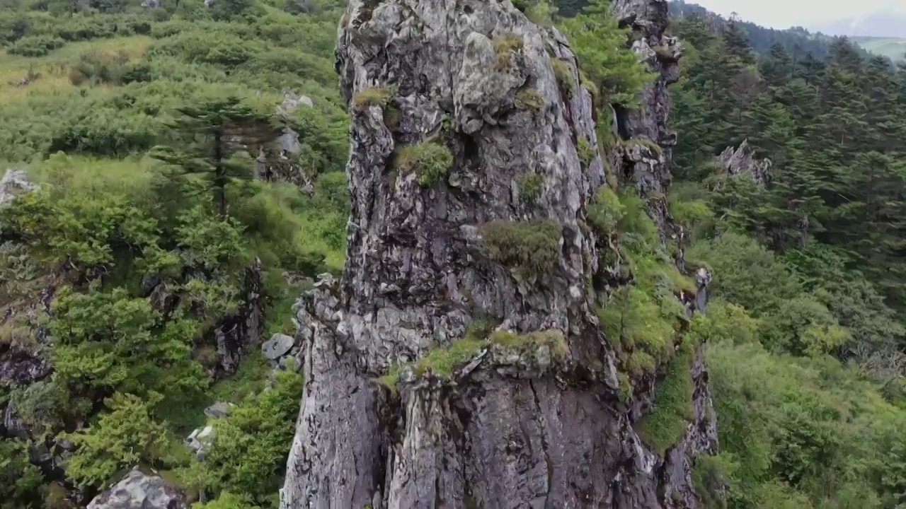 板壁岩，神农架，神农顶，岩石，神农架林区，擎天柱视频素材