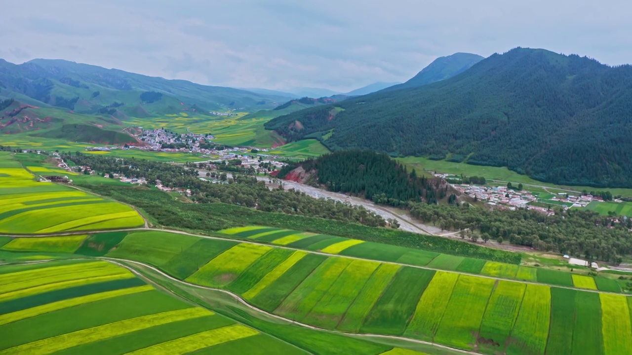 夏天的农田，祁连山风光，祁连草原的风景，田园风光，祁连卓尔山视频素材