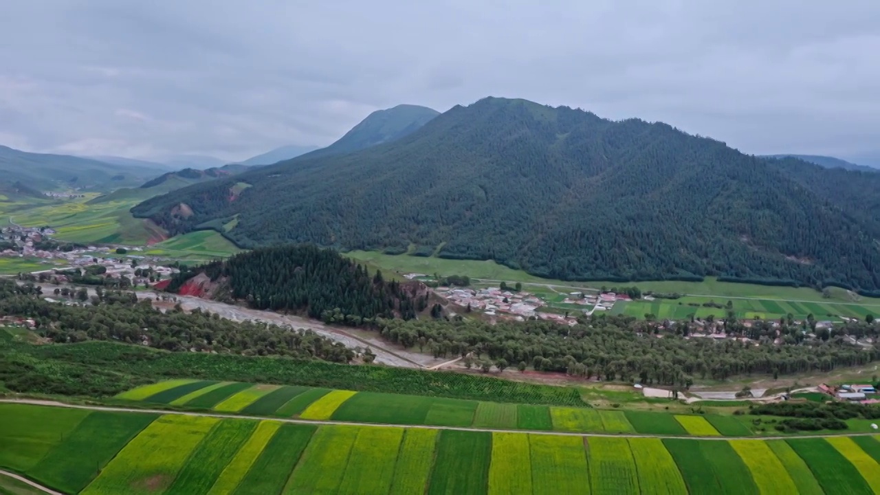 夏天的农田，祁连山风光，祁连草原的风景，田园风光，祁连卓尔山视频素材