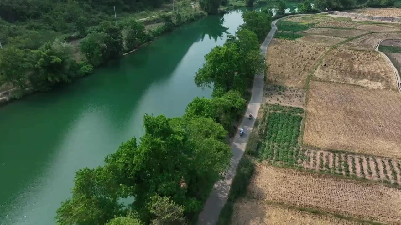 秋天阳光下阳朔遇龙河畔的沿江步道和收割完的稻田视频素材