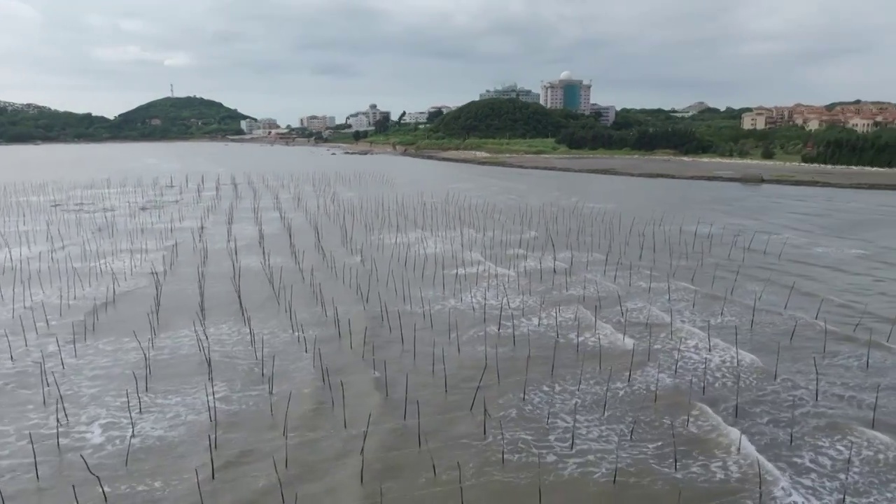 莱芜半岛海滩视频素材