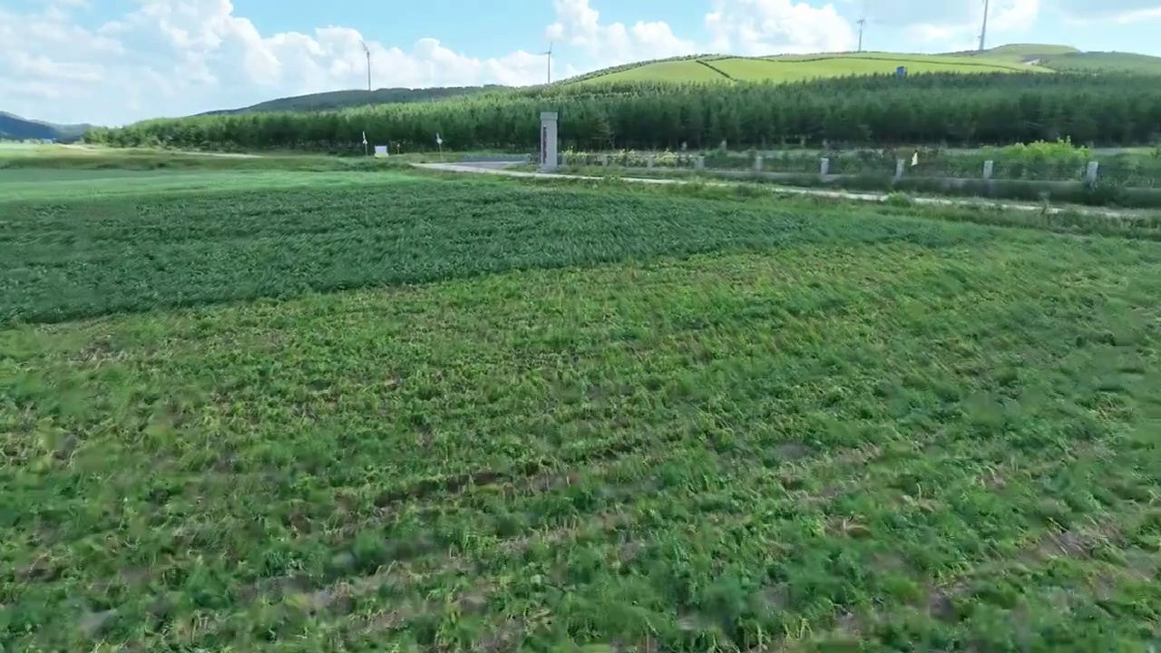 航拍河北张家口沽源县草原天路自然风光公路自驾游视频素材