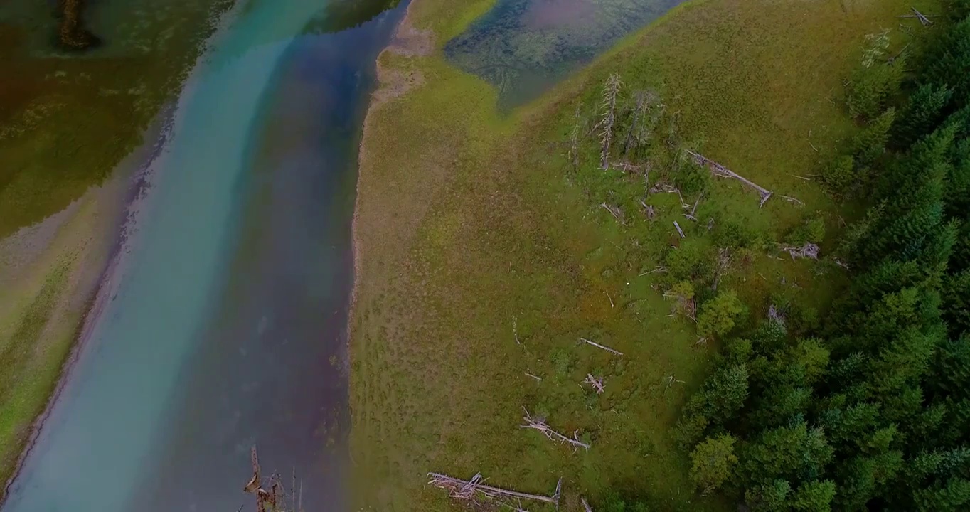 川西高原湖泊蓝天绿水白云森林景观视频素材