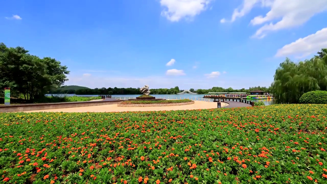 徐州云龙湖风景区龙广场延时视频视频素材