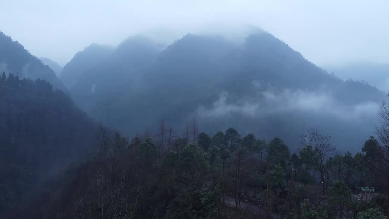 航拍青城后山云雾森林视频素材